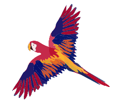 papuga logo cjpckk